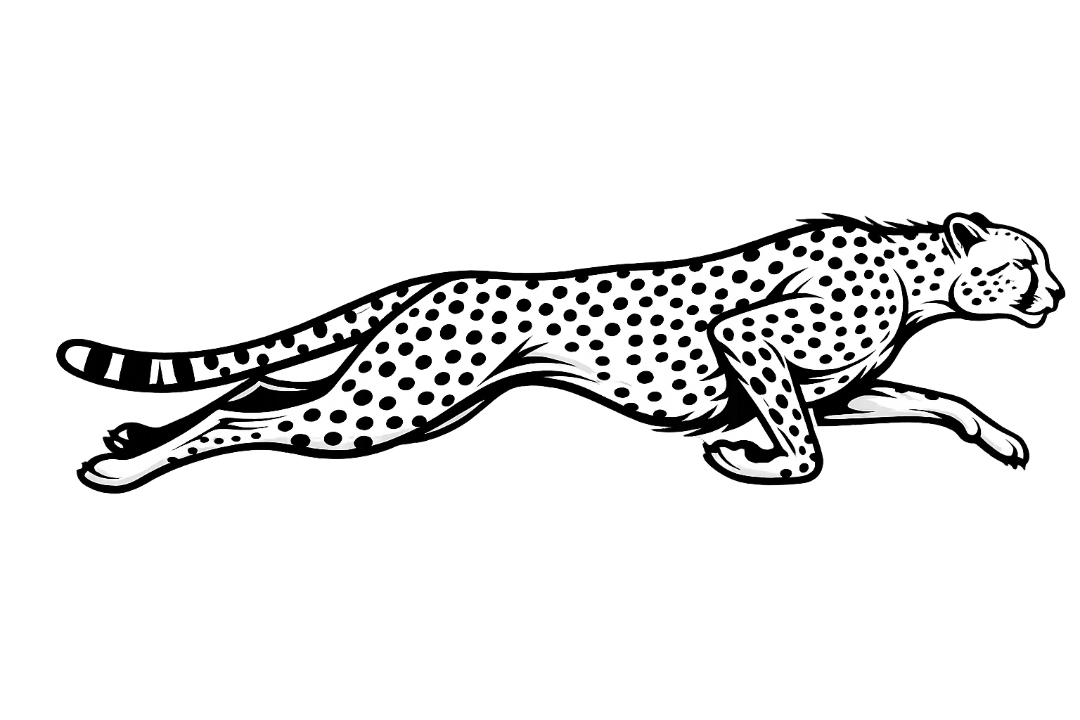Cheetah